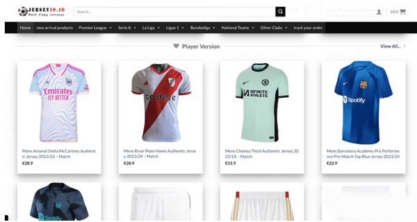 saas獨(dú)立站從建站到1天8千美金全流程