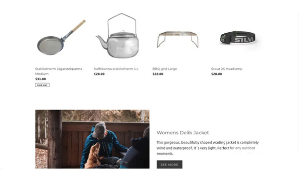 saas獨(dú)立站從建站到1天8千美金全流程