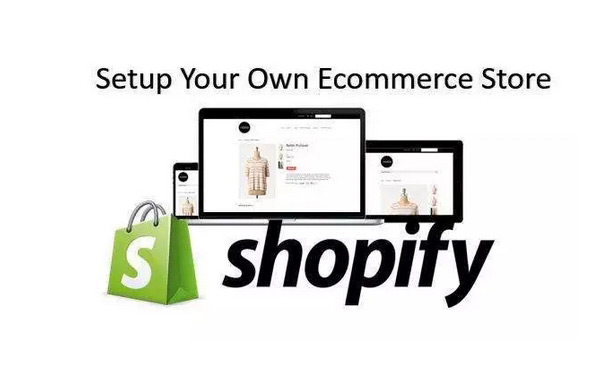 Shopify獨(dú)立站流量來(lái)源分析