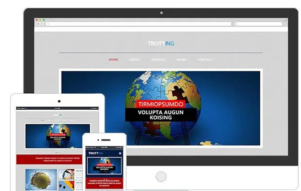 購(gòu)買(mǎi)海外訪客都是哪國(guó)流量？