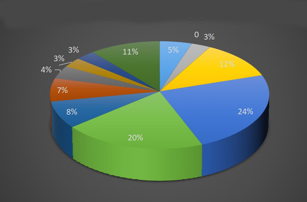 獨立站數(shù)據(jù)分析項目都有哪些？