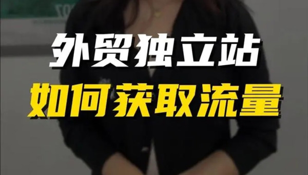 獨(dú)立站訪問量沒有增加反而下降，應(yīng)該怎么辦？